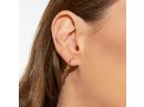 Elegant Ruby Leverback Earrings